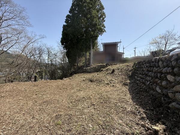 飛騨市神岡町館野町 畑農地 96.07坪 現地土地写真 