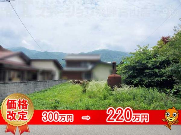 土地 岐阜県高山市一之宮町1995-2、1994-7 高山本線飛騨一ノ宮駅 220万円