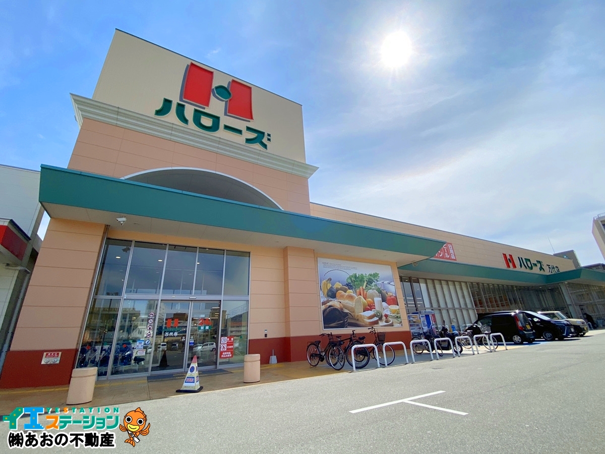 ハローズ 万代店