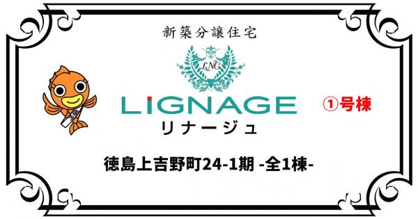 新築戸建 徳島市上吉野町１丁目 JR徳島線徳島駅 3,260万円
