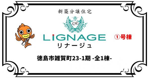 新築戸建 徳島市雑賀町西開 JR牟岐線文化の森駅 2,980万円