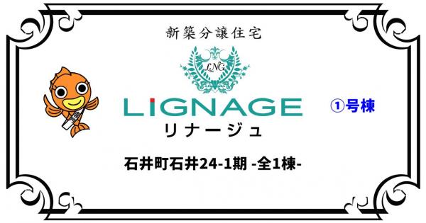 新築戸建 名西郡石井町石井字石井 JR徳島線石井駅 2,580万円