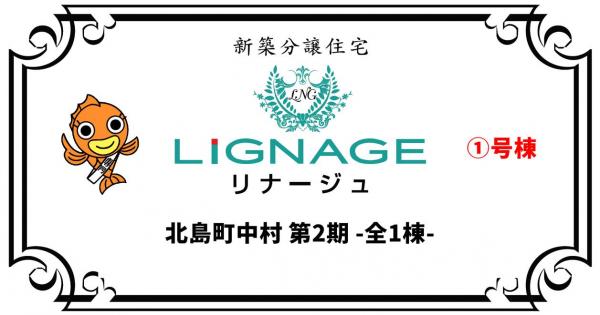 新築戸建 板野郡北島町中村字東中須 JR高徳線勝瑞駅 2,980万円