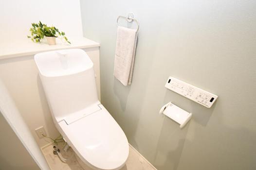 新築戸建 板野郡藍住町住吉字乾 JR高徳線勝瑞駅 2,498万円