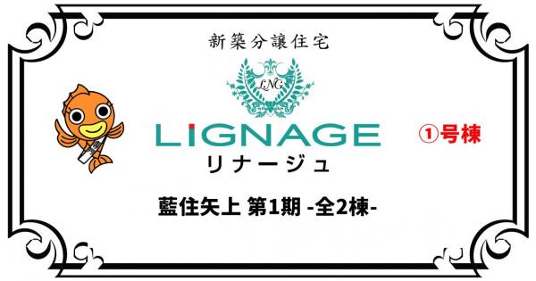 新築戸建 板野郡藍住町矢上字春日 JR高徳線勝瑞駅 2,430万円