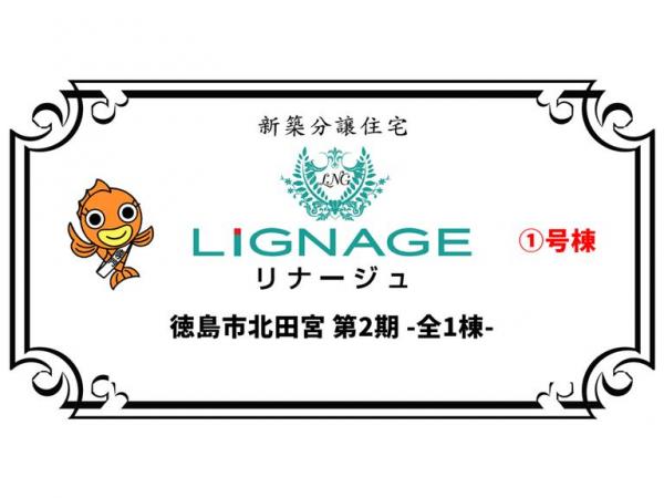 新築戸建 徳島市北田宮3丁目 JR徳島線佐古駅 3,190万円