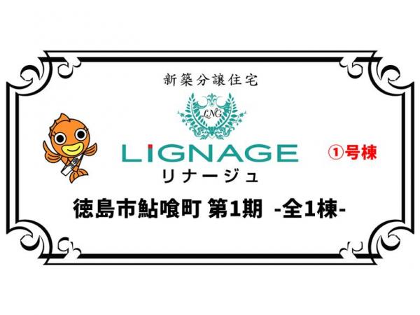 新築戸建 徳島市鮎喰町１丁目 JR徳島線鮎喰駅 2,820万円