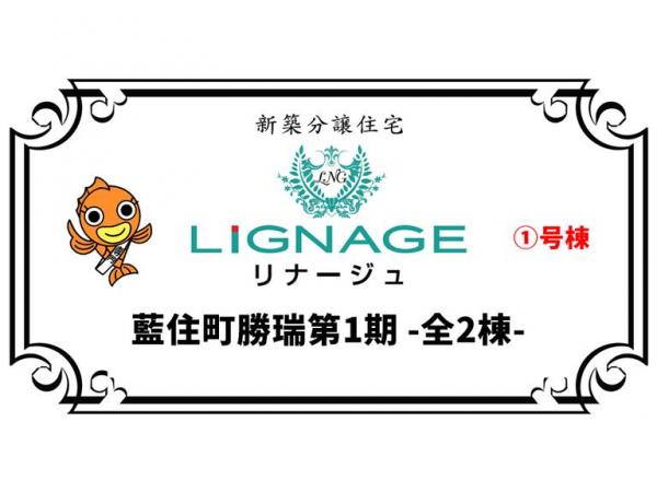 新築戸建 板野郡藍住町勝瑞字正喜地 JR高徳線勝瑞駅 2,780万円