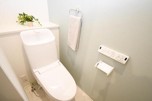 新築戸建 板野郡藍住町住吉字若宮 JR高徳線勝瑞駅 2,648万円