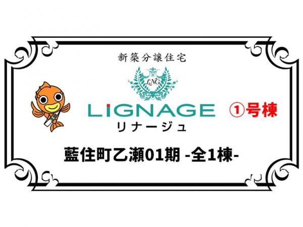 新築戸建 板野郡藍住町乙瀬字青木 JR高徳線阿波川端駅 2,380万円