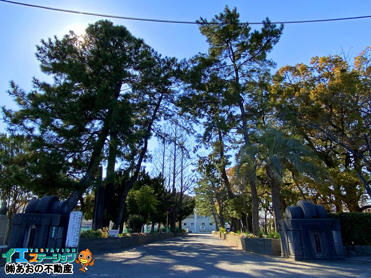 徳島市立千松小学校