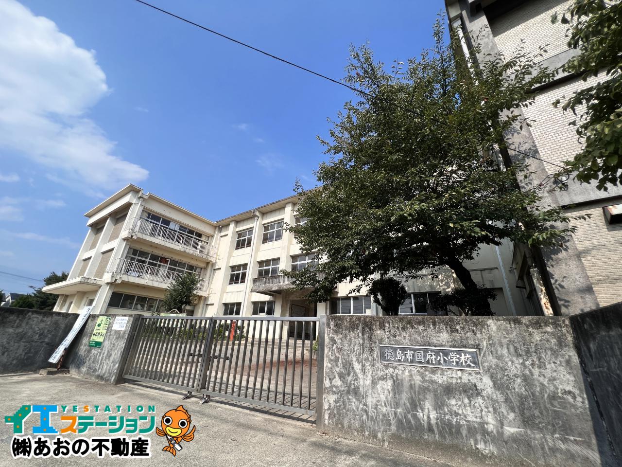 徳島市国府小学校
