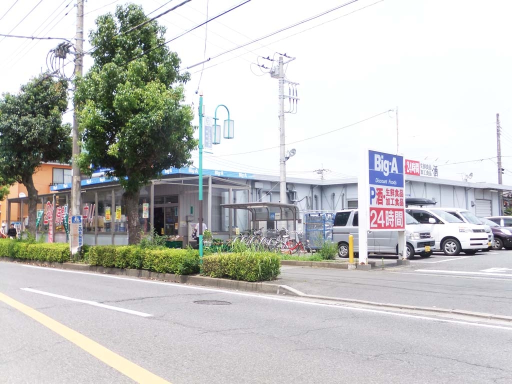 ビッグ・エー 佐倉ユーカリが丘店