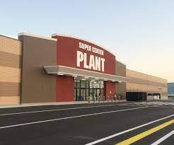 PLANT-5 鏡野店