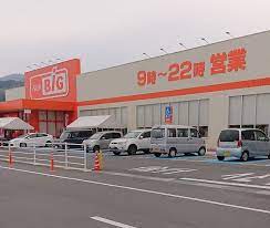 ザ・ビッグ 津山平福店