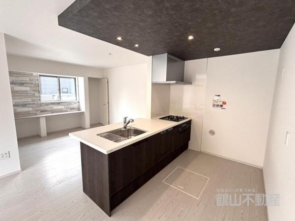 新築戸建 岡山市北区清輝橋１丁目2番113 岡山電軌清輝橋線清輝橋駅 4,198万円