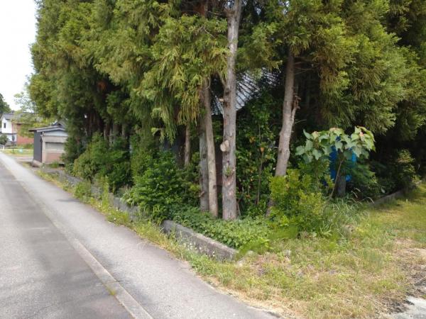 上市町新屋　住宅用地 前面道路含む現地写真 