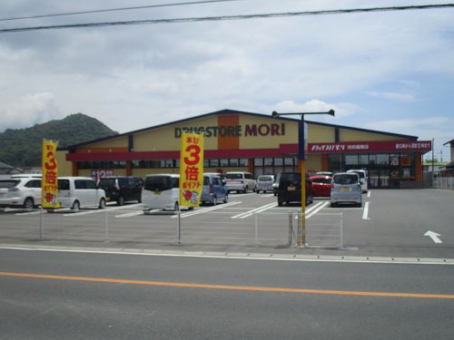 ドラッグストアモリ桑南店