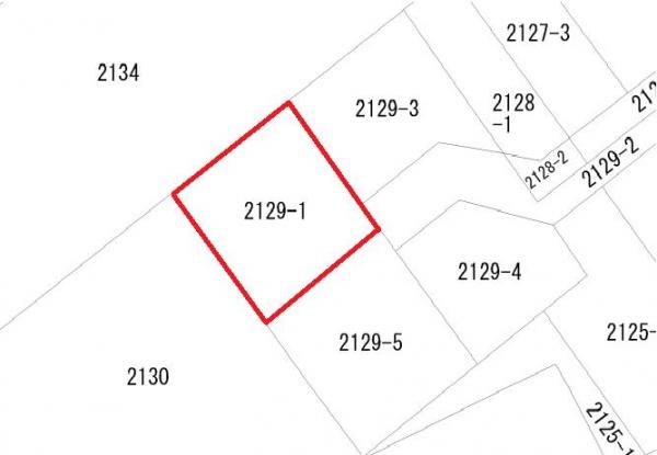 土地 八街市沖 JR総武本線八街駅 100万円