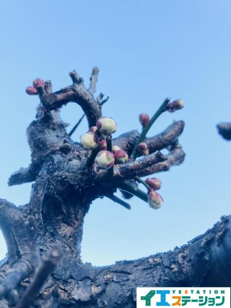 中古戸建 大崎市古川新田字大西 JR陸羽東線東大崎駅 880万円