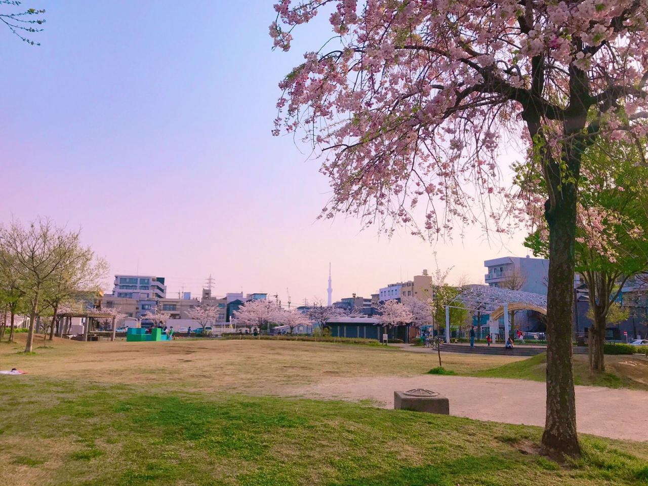 お花茶屋公園