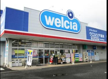 ウエルシア葛飾奥戸店