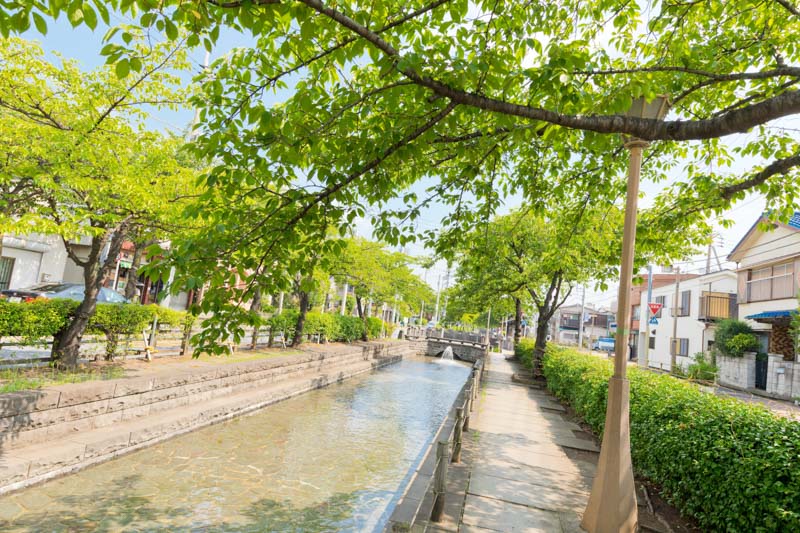 曳舟川親水公園⑨