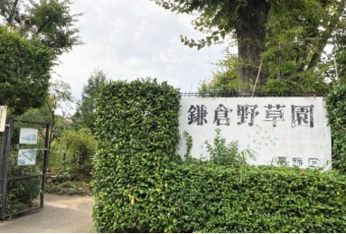 鎌倉野草園