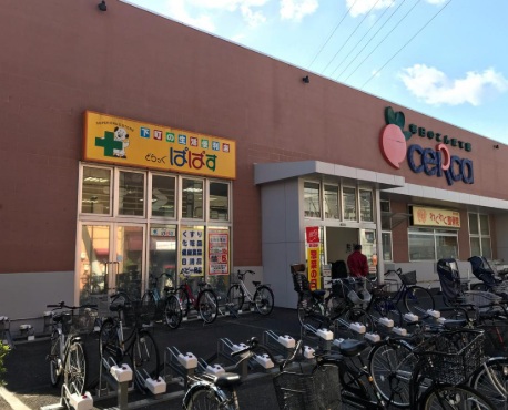 どらっぐぱぱす セルカ高砂店