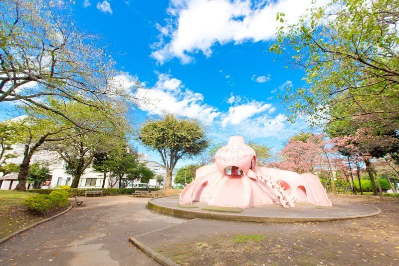 田無市民公園(タコ公園)