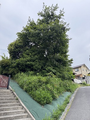 土地 広島市安佐南区長楽寺１丁目 アストラムライン長楽寺駅 330万円