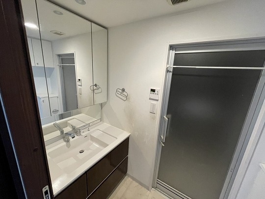 ウェルディ大原駅前フェリス 洗面台・洗面所 