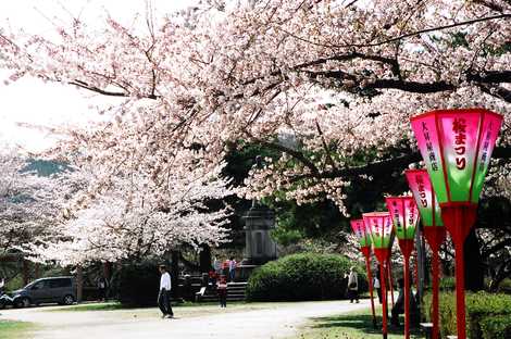 大山公園