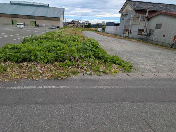 庄内町余目　売土地 現地土地写真 