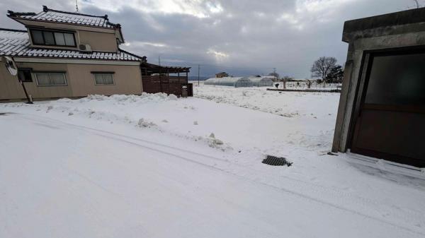  酒田市漆曽根字四合田8 JR羽越本線酒田駅 50万円