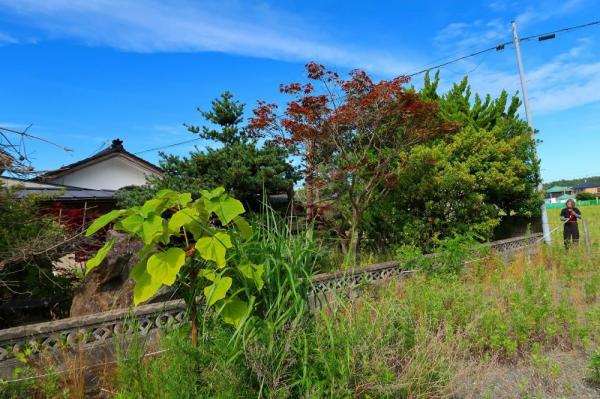 酒田市高砂二丁目　売土地 現地土地写真 