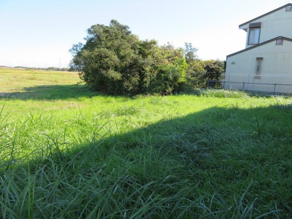 山武郡横芝光町屋形　土地 現地土地写真 