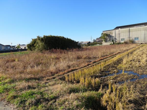 香取市下小堀　土地 