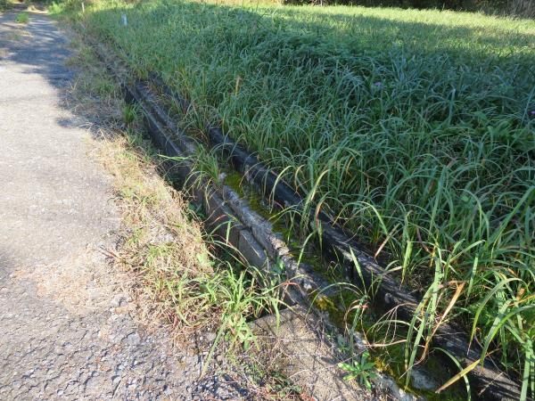 山武郡横芝光町屋形　土地 前面道路含む現地写真 