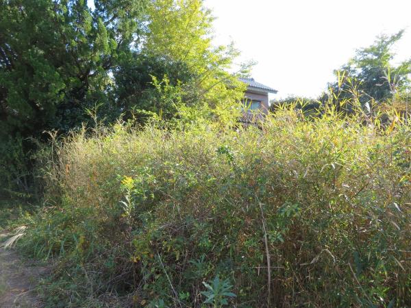 山武郡横芝光町屋形　土地 現地土地写真 