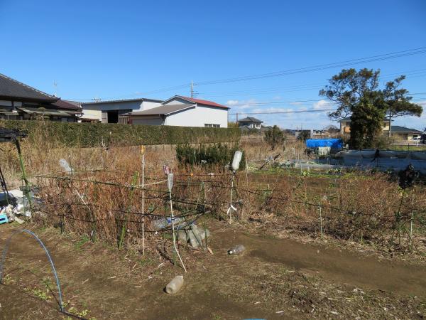 香取郡東庄町新宿　土地 