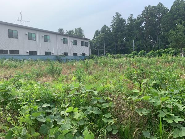 土地 匝瑳市松山 JR総武本線八日市場駅 890万円