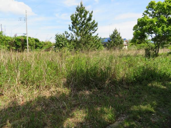 山武郡横芝光町木戸　土地 現地土地写真 