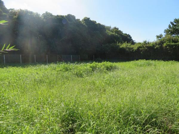 山武郡横芝光町屋形　土地 現地土地写真 