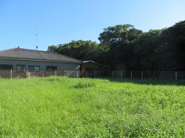 山武郡横芝光町屋形　土地 現地土地写真 