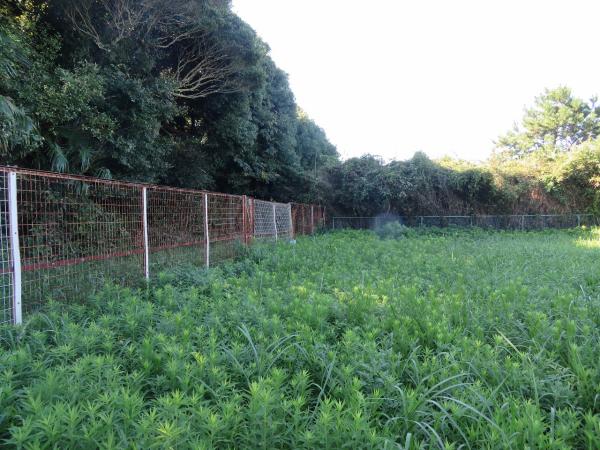 山武郡横芝光町屋形　土地 現地土地写真 