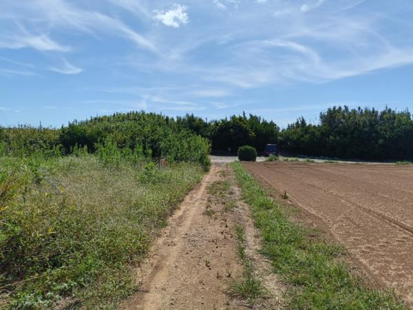 銚子市三崎町3丁目　土地 現地土地写真 