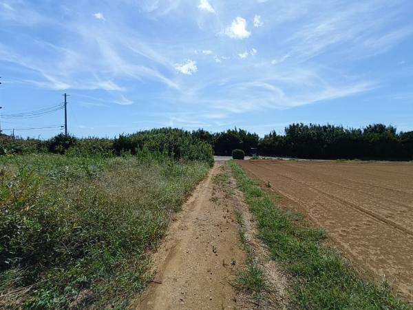 銚子市三崎町3丁目　土地 現地土地写真 