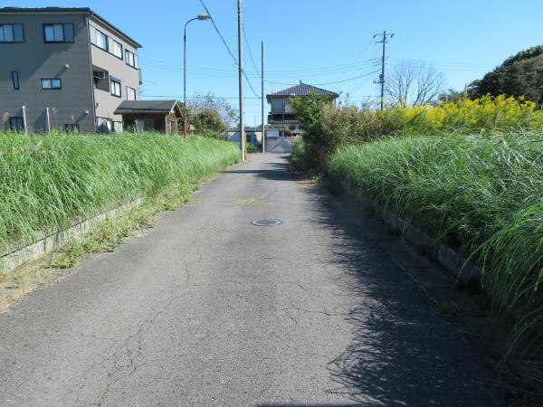 山武郡横芝光町宮川　土地 前面道路含む現地写真 