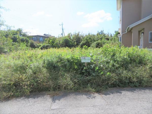 土地 山武郡横芝光町栗山 JR総武本線横芝駅 60万円